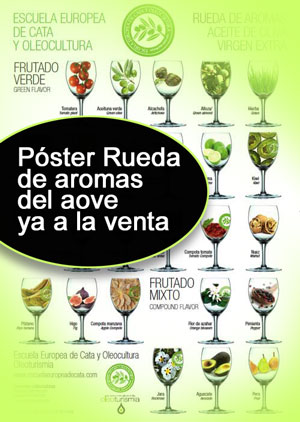 Póster Rueda de Aromas del Aceite de Oliva Virgen Extra