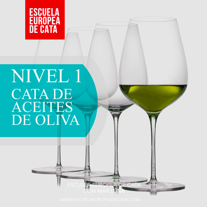 Nivel 1. Curso de Iniciación a la Cata de Aceite de Oliva Virgen Extra